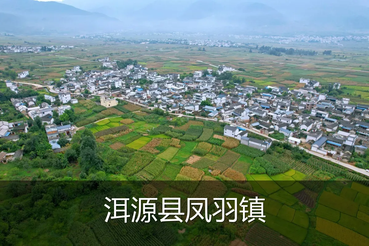 洱源县凤羽镇