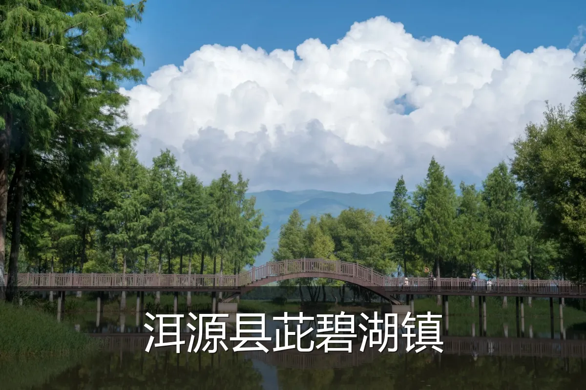 洱源县茈碧湖镇